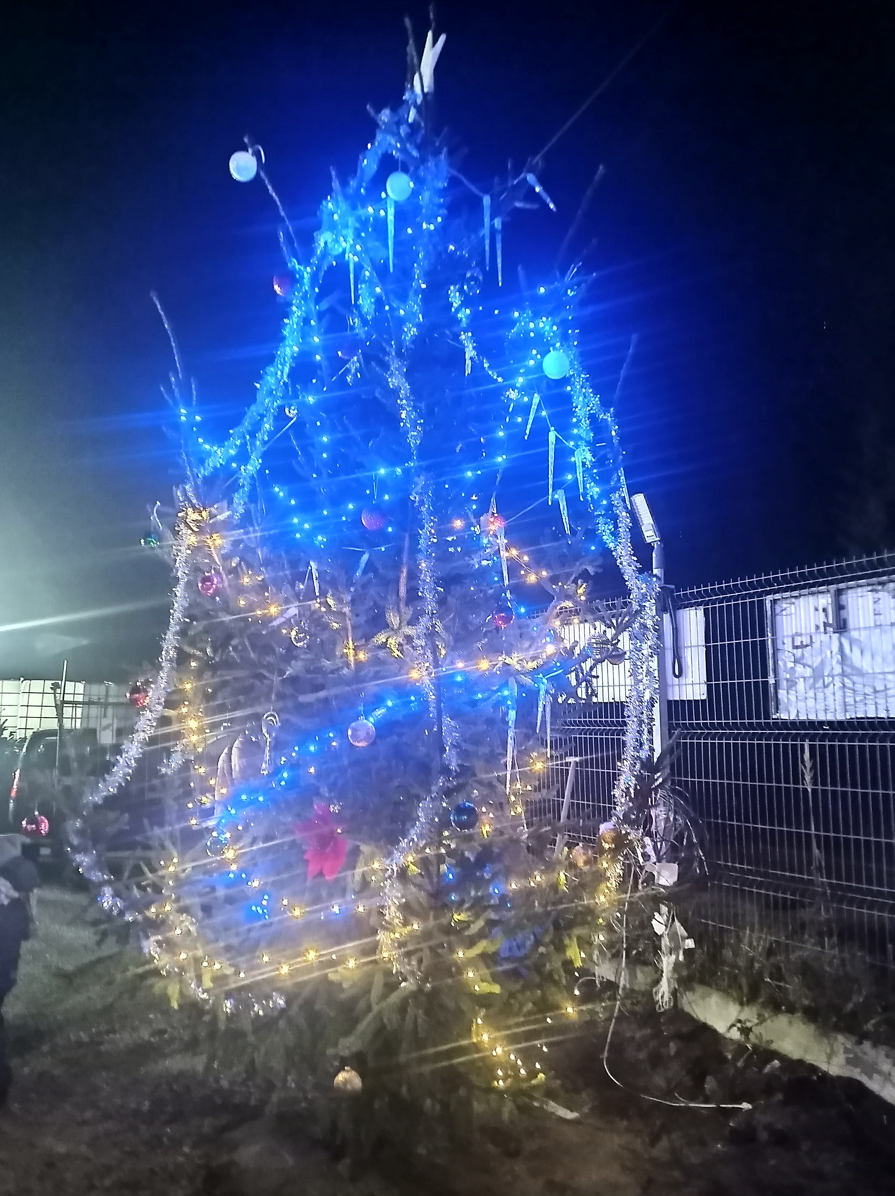 IMG_20241127_181132_324