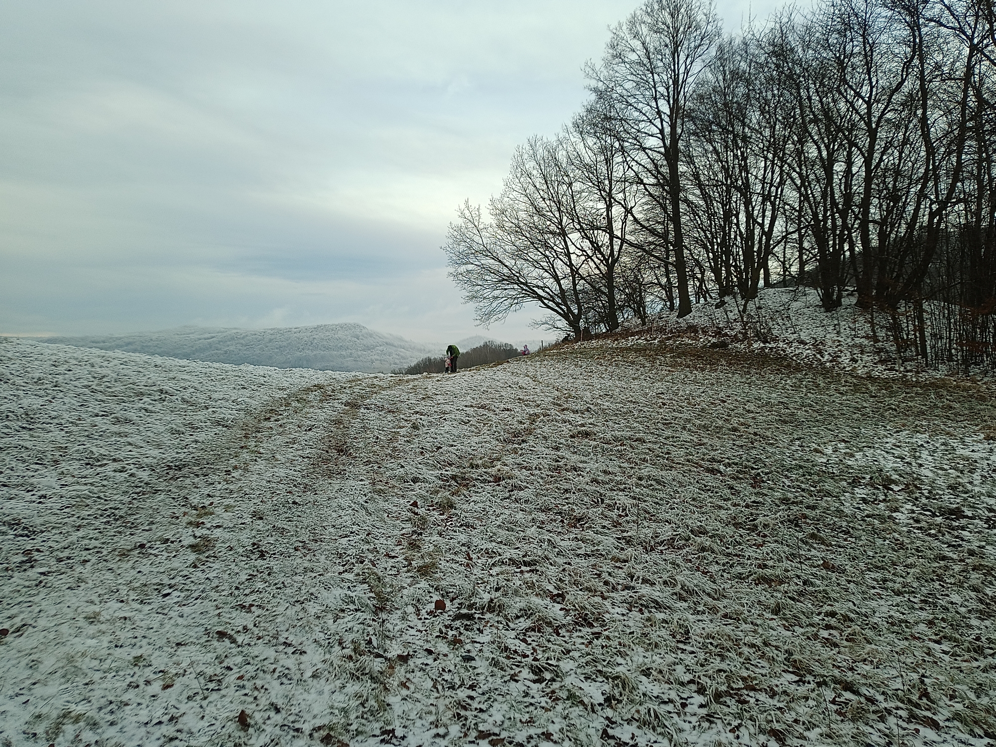 IMG_20250101_140256_881